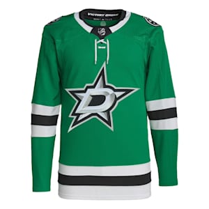 Auston Matthews NHL Jerseys, NHL Hockey Jerseys, Authentic NHL Jersey, NHL  Primegreen Jerseys