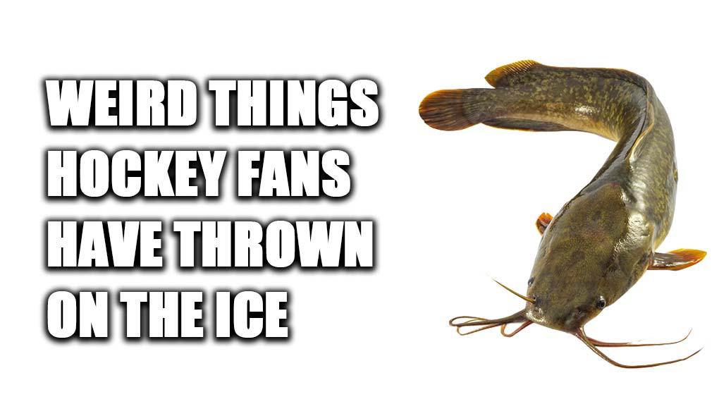 Weird (And Hilarious) Things Hockey Fans Throw Onto the Ice Pure Hockey