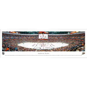 Frameworth Anaheim Ducks Panoramic Picture