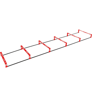 HockeyShot Boost Ladder