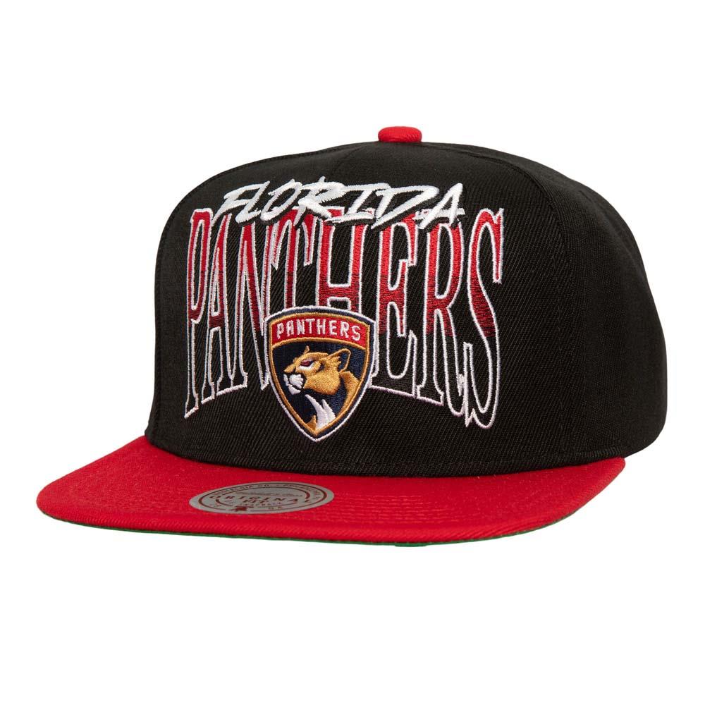 Mitchell Ness Rise Up Snapback Hat Florida Panthers Adult