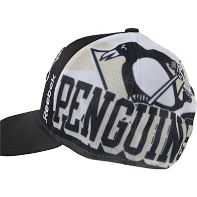 Side View (Reebok 2015 NHL Team Playoffs Hat - Mens)