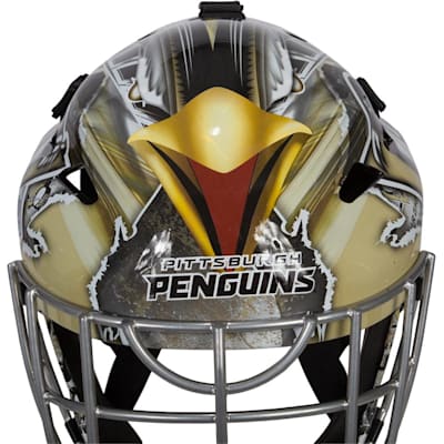  (Franklin GFM1500 NHL Decal Street Hockey Goalie Mask)