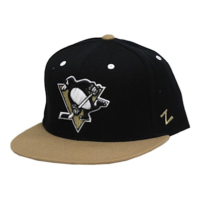 Pittsburgh penguins fitted hat 2025