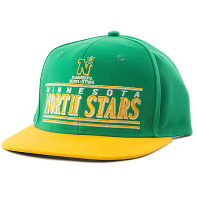 Minnesota north stars fitted hat shop