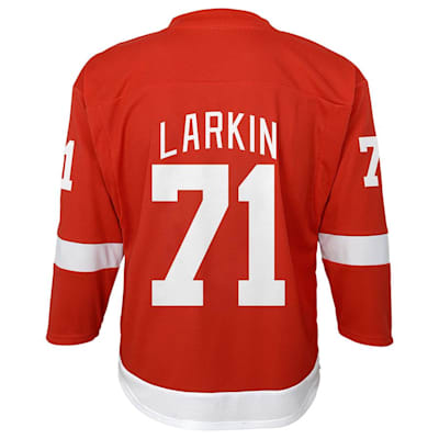 Larkin wings jersey best sale