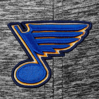 NHL 2019 Stanley Cup Champion St. Louis Blues Color 8 X 12 Photo Picture