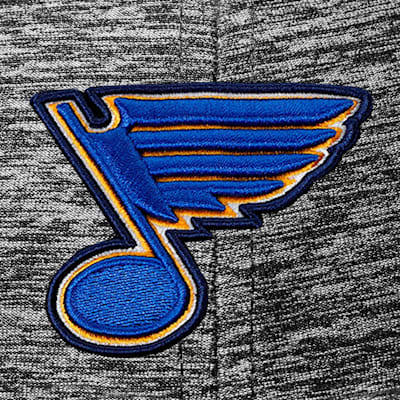 NHL St. Louis Blues 2019 Stanley Cup Champions Heritage Banner Multi