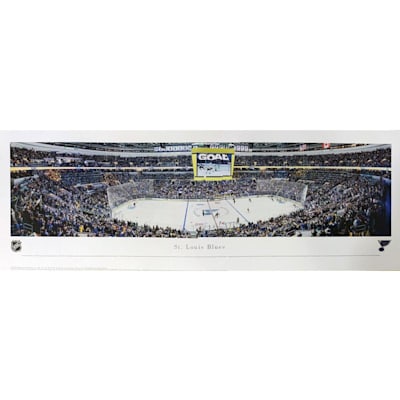  (Frameworth St. Louis Blues Panoramic Picture)