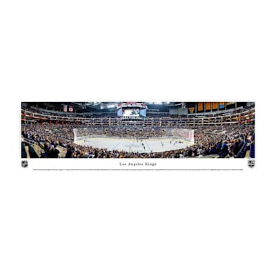  (Frameworth LA Kings Panoramic Picture)