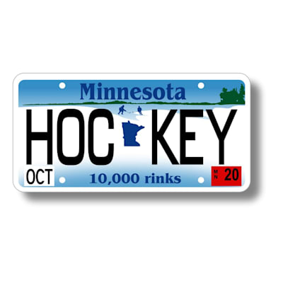  (State License Plate Decal)