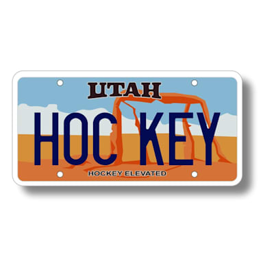  (State License Plate Decal)