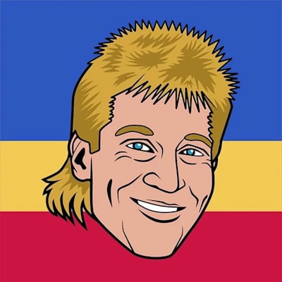  (Major League Socks Sockey HoF - Brett Hull)