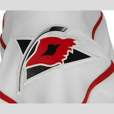 Reebok Carolina Hurricanes Blank Jersey Size - Depop