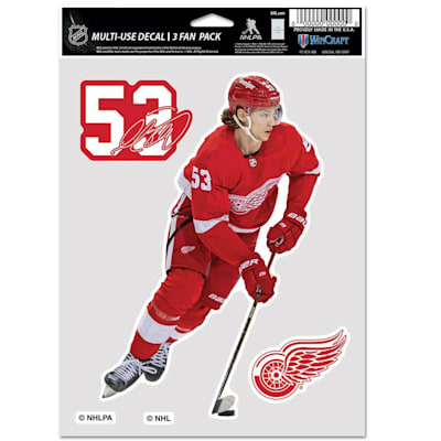  (Wincraft Multi-Use Player Decal 3 Fan Pack - Detroit Red Wings)