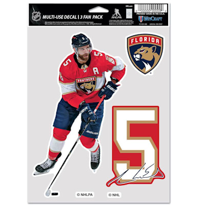 (Wincraft Multi-Use Player Decal 3 Fan Pack - Florida Panthers)