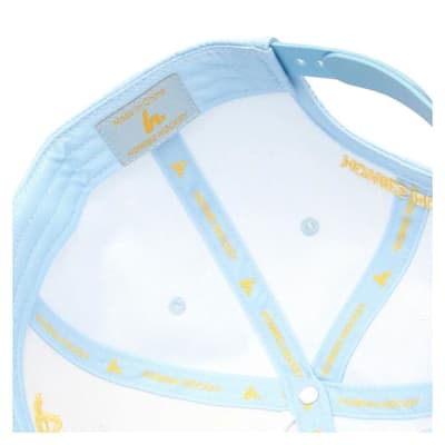  (Howies The Tour Lid - Adult)