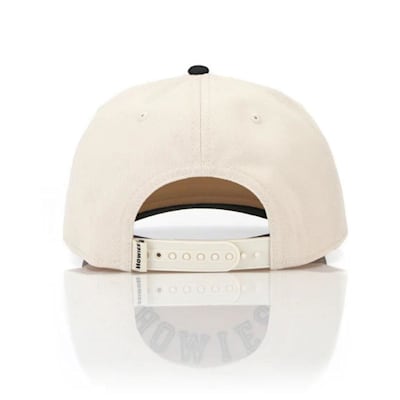  (Howies The Backhand Lid - Adult)