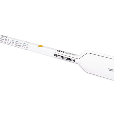  (Bauer City Scape Composite Goalie Stick - Senior)