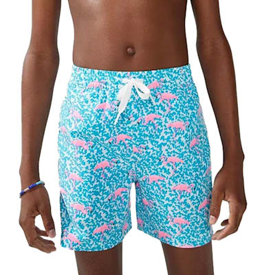  (Chubbies The Mini Mingos Shorts - Youth)