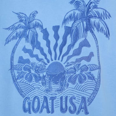  (Goat USA Palm Tree Hoodie - Youth)