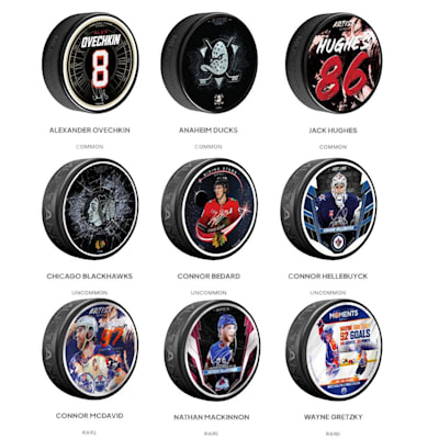  (NHL Mystery Pucks - Series 1)