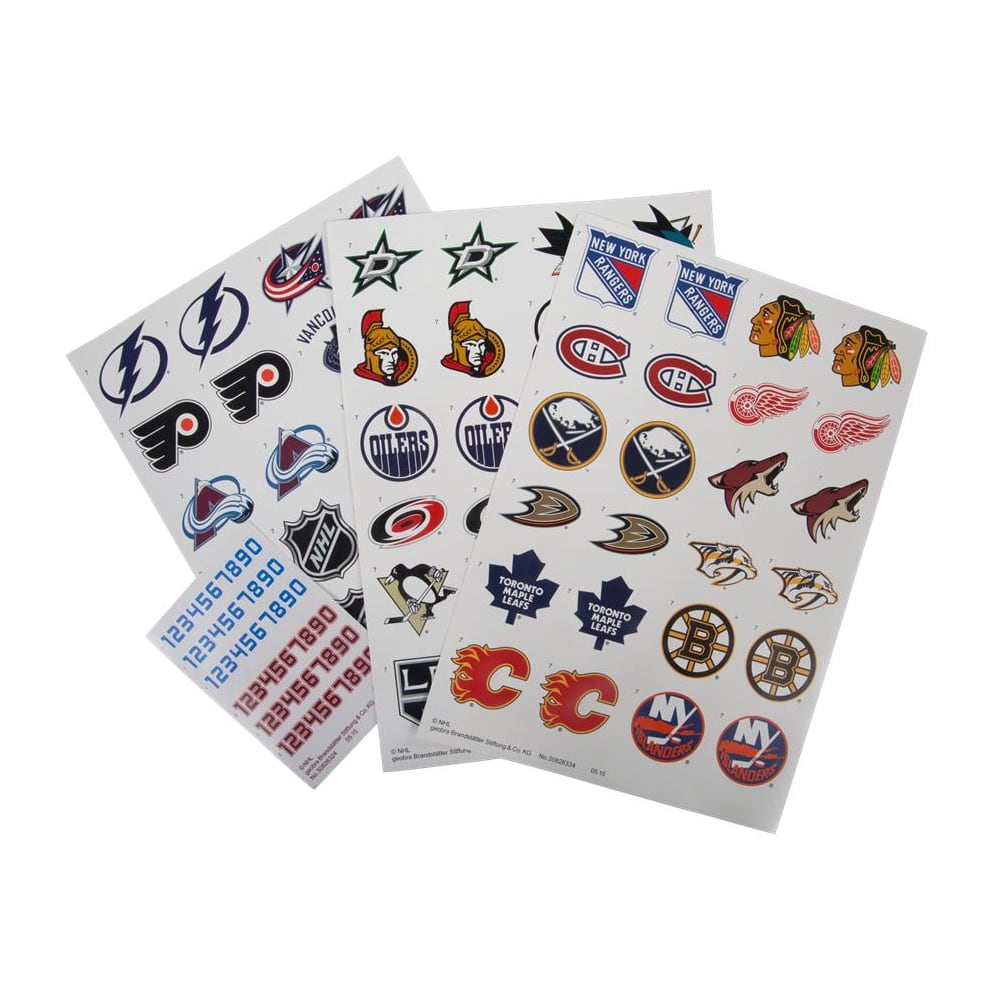 playmobil hockey rink