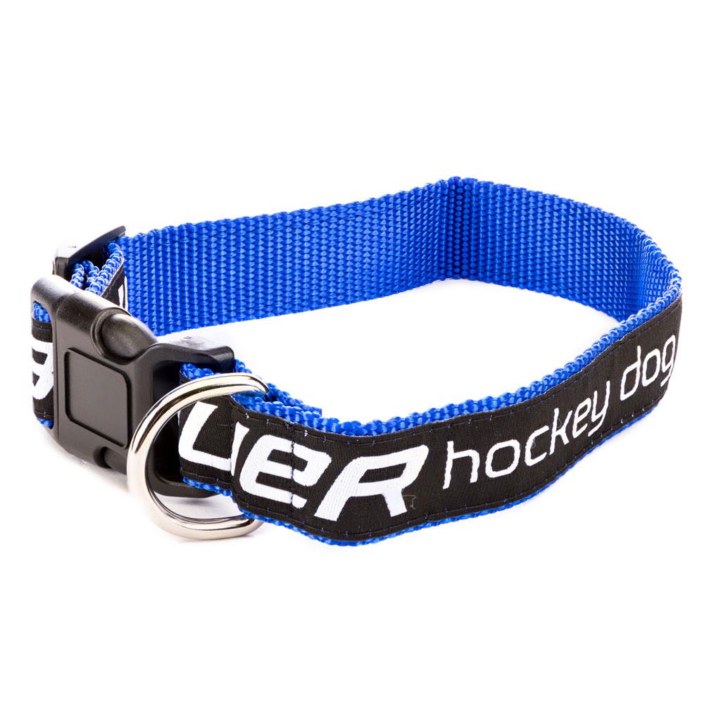 pet leads and collars