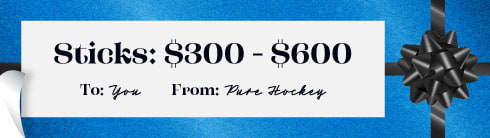 Hockey Sticks $100-$200