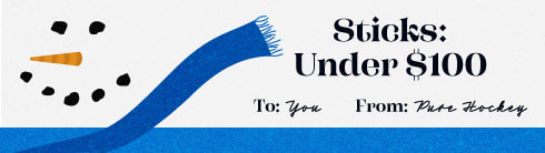 Hockey Sticks Under $100