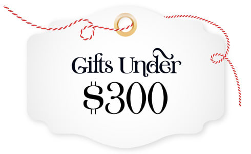 Hockey Gifts Under $300