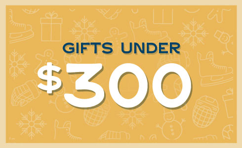 Hockey Gifts Under $300